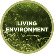 Theme 5: Improving the living environment and strengthening biodiversity
